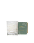 Frasier Fir Tidings Boxed Votive | 2oz