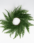 Cypress Pine Wreath 10"