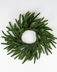 Norfolk Pine Wreath 10"