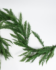 Cypress Pine Garland