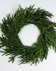 Norfolk Pine Wreath 24"