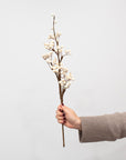 White Berry Branch