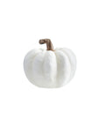 White Pumpkin Decor