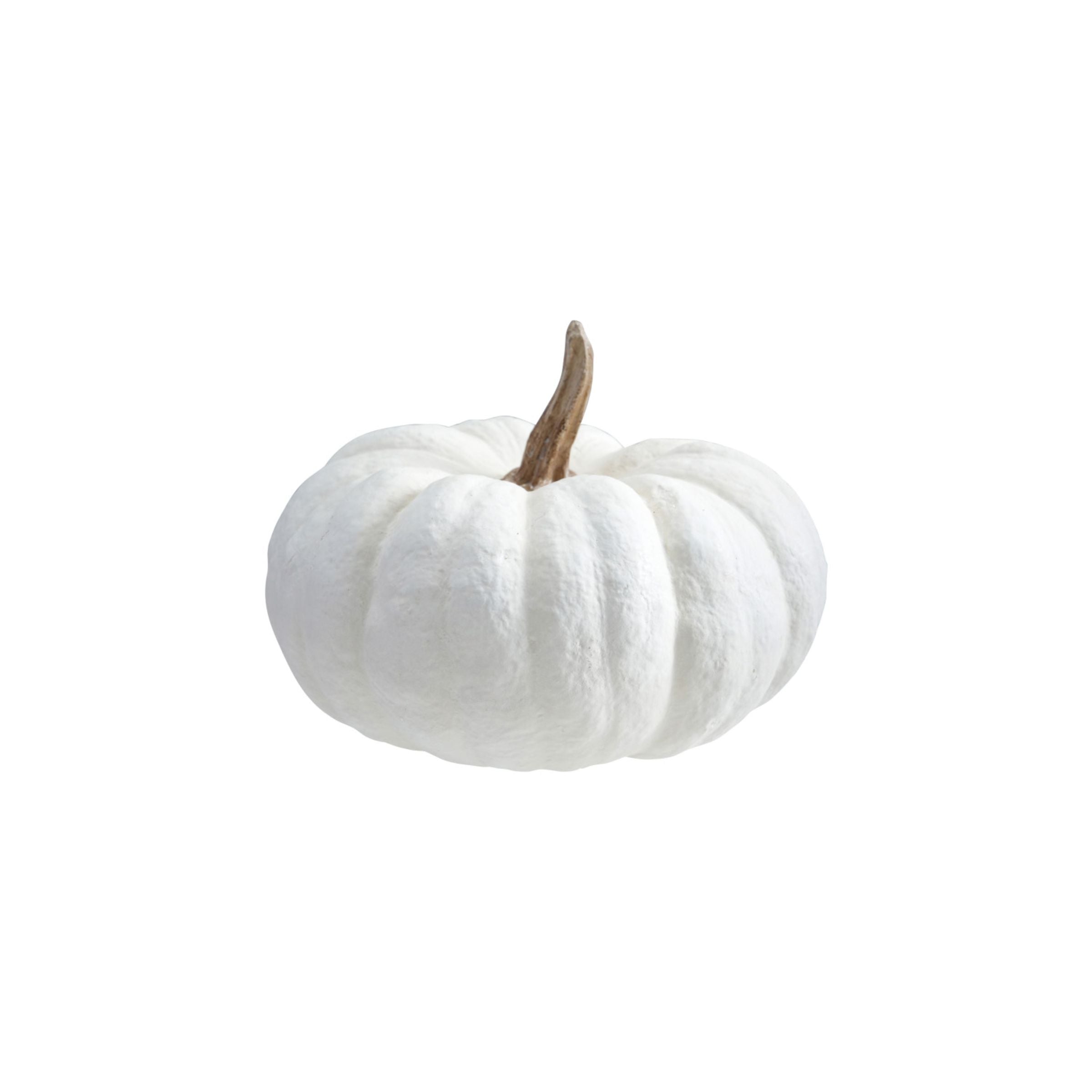 White Pumpkin Decor