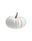 White Pumpkin Decor