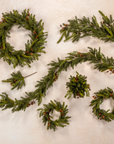 White Spruce + Tusga Hemlock Pick