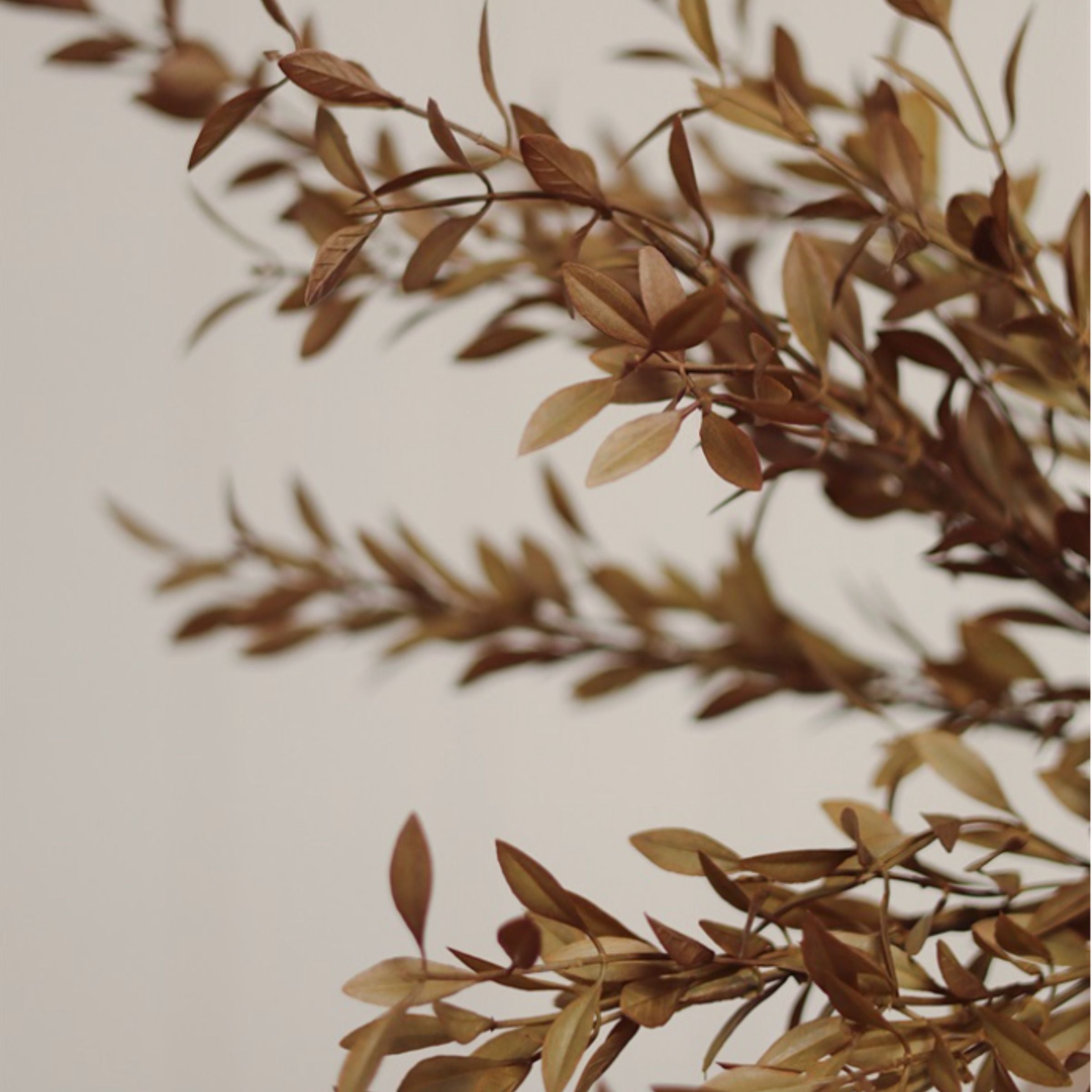 Willow Leaf Spray | Harvest