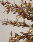 Willow Leaf Spray | Harvest