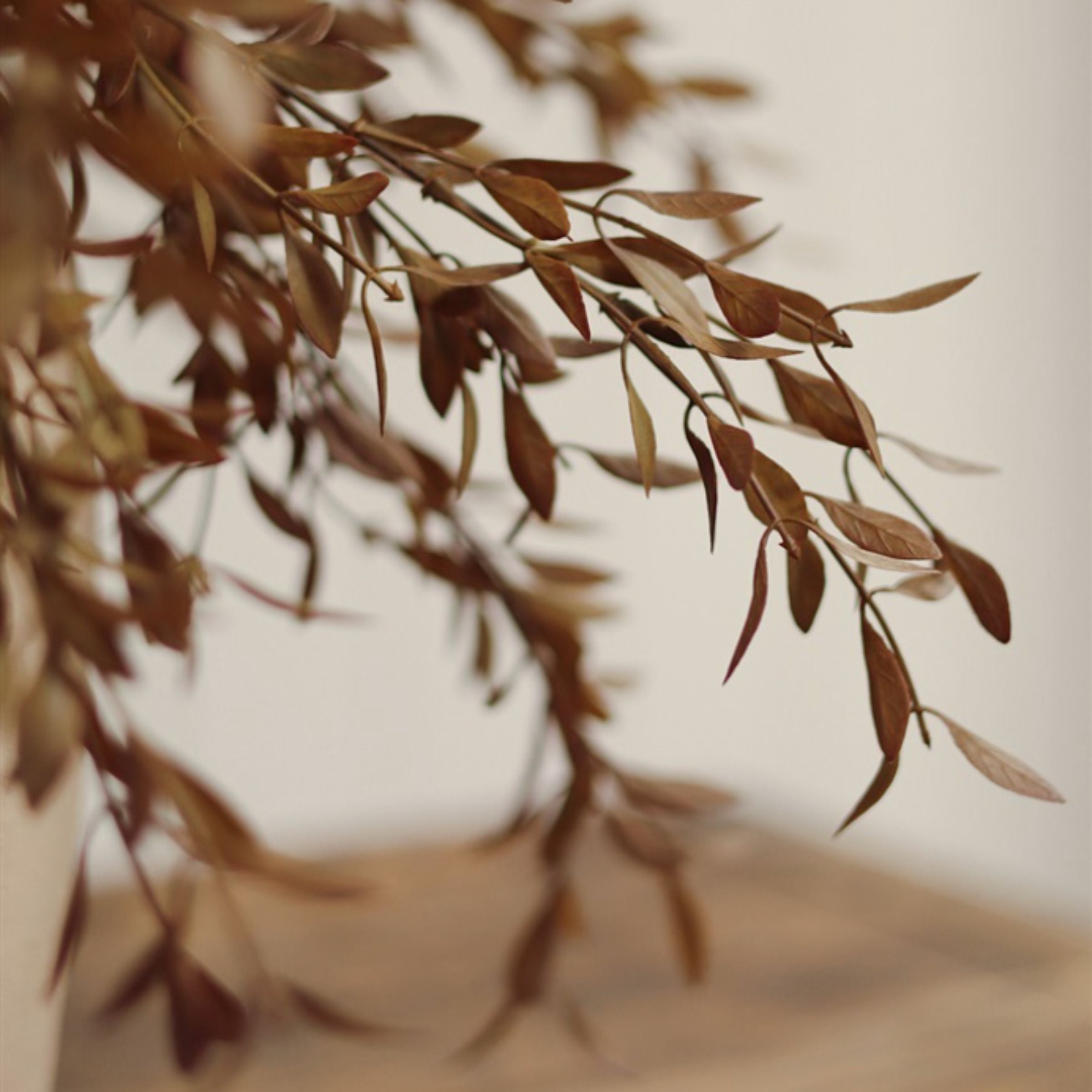 Willow Leaf Spray | Harvest