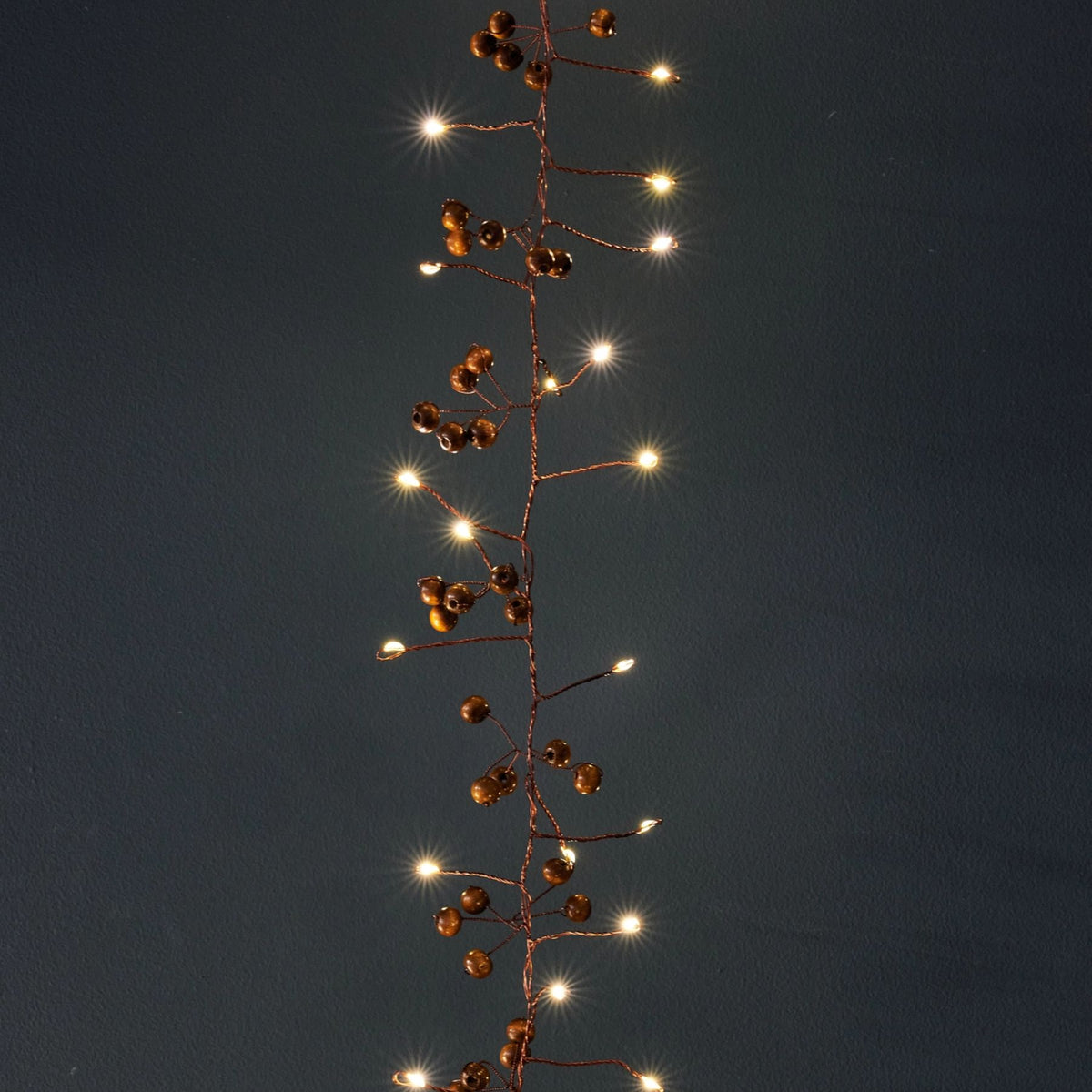 Woodland Berry Garland Lights