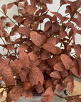 Branches Decor 