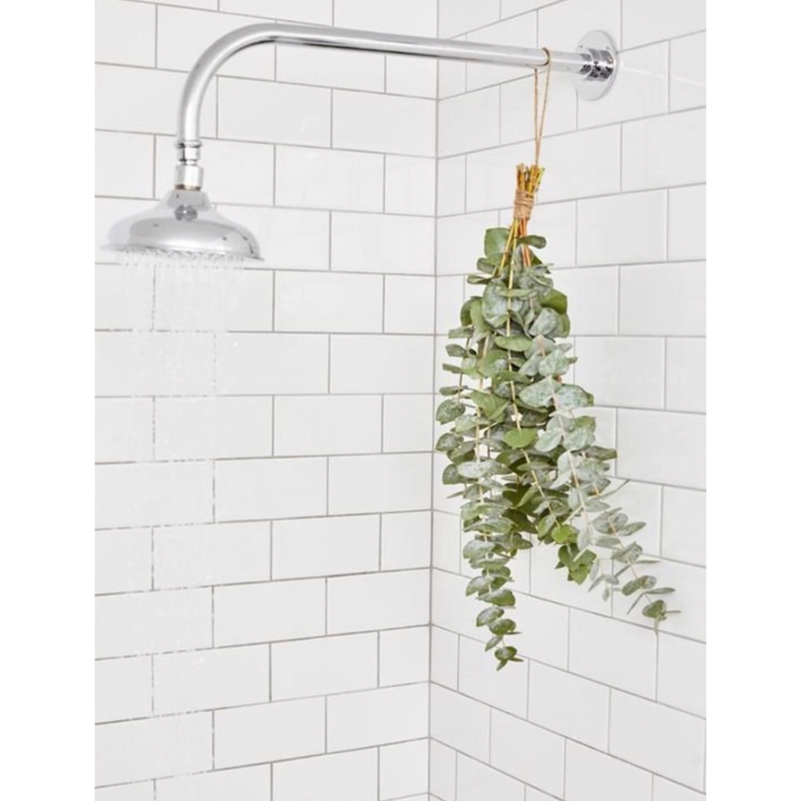 Eucalyptus Shower Bundle