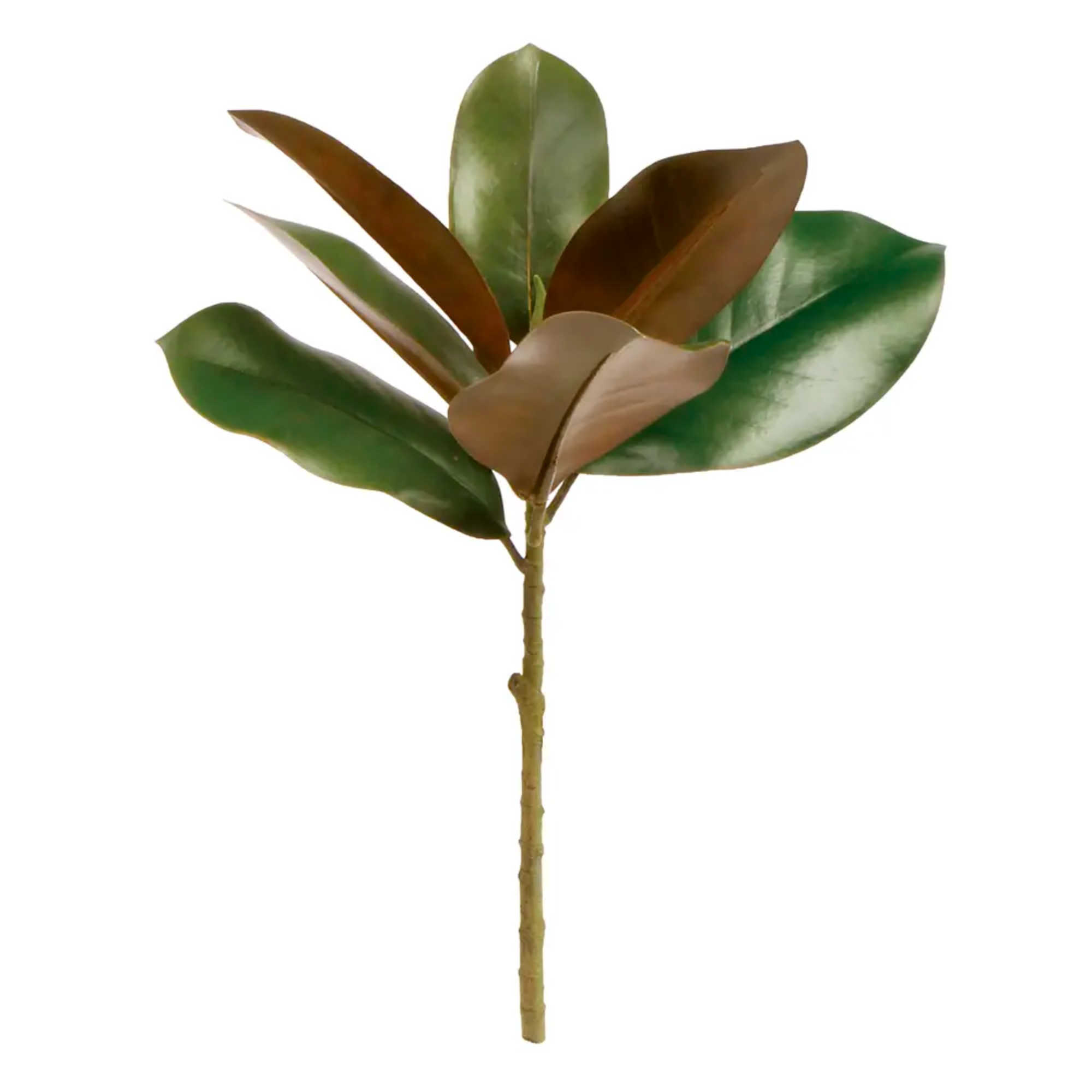 Grand Magnolia Leaf Pick - 16&quot;
