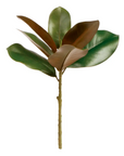 Grand Magnolia Leaf Pick - 16"